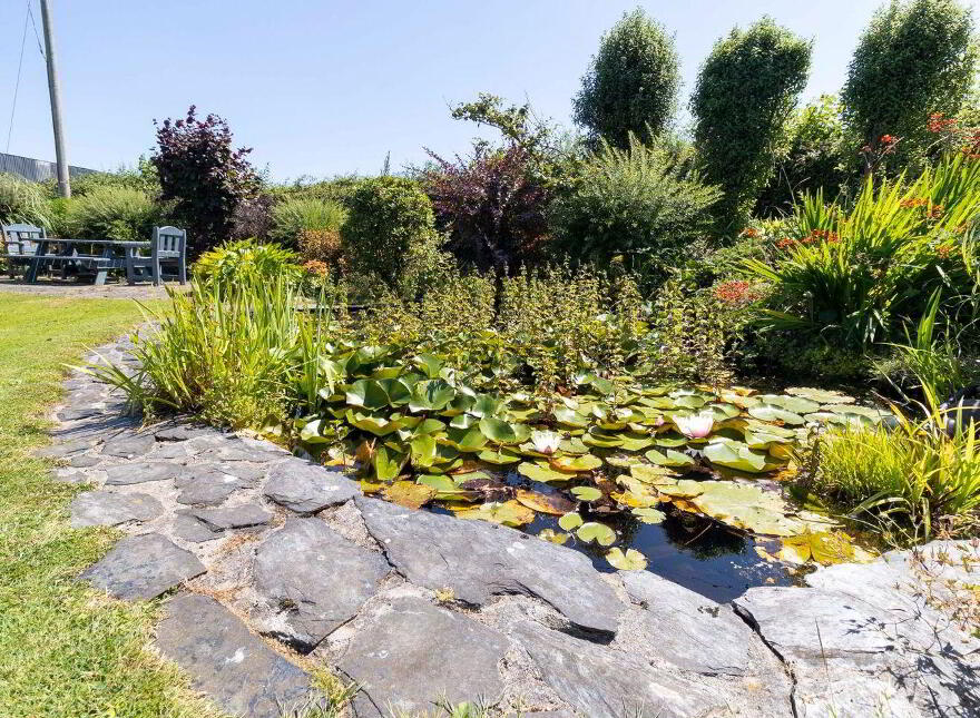 Mount Alexander, Gorey, Ballymoney, Y25DA58
