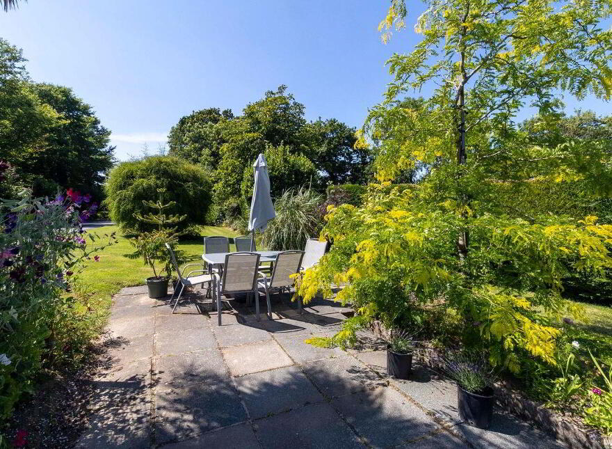 Mount Alexander, Gorey, Ballymoney, Y25DA58