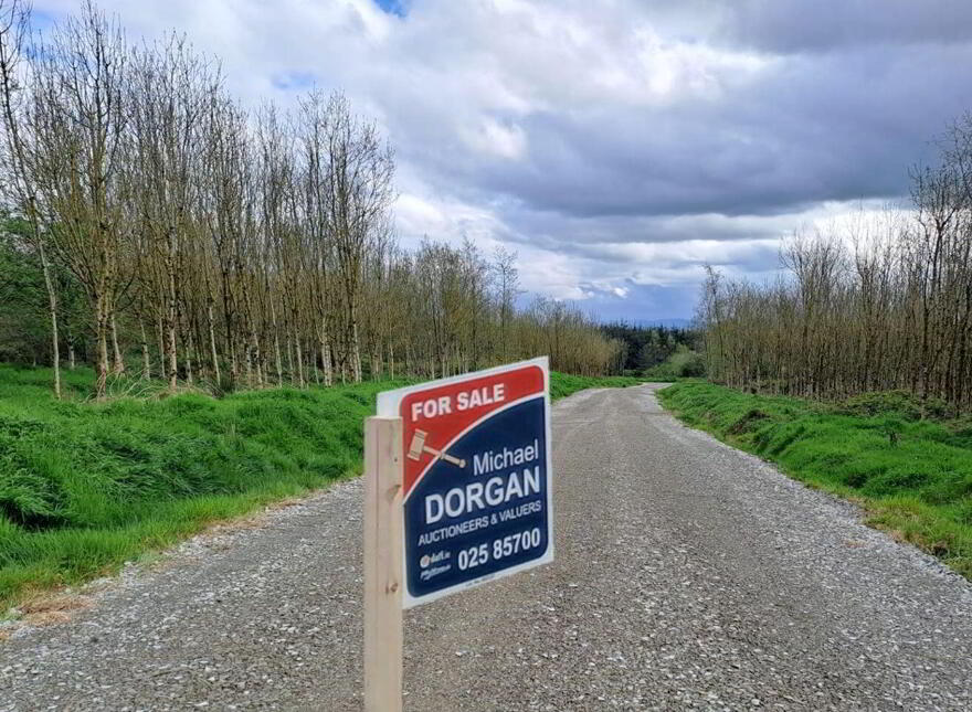 High Nature Value Site, C.93 Acres, Gortacurrig, Kildorrery Near, Fermoy photo