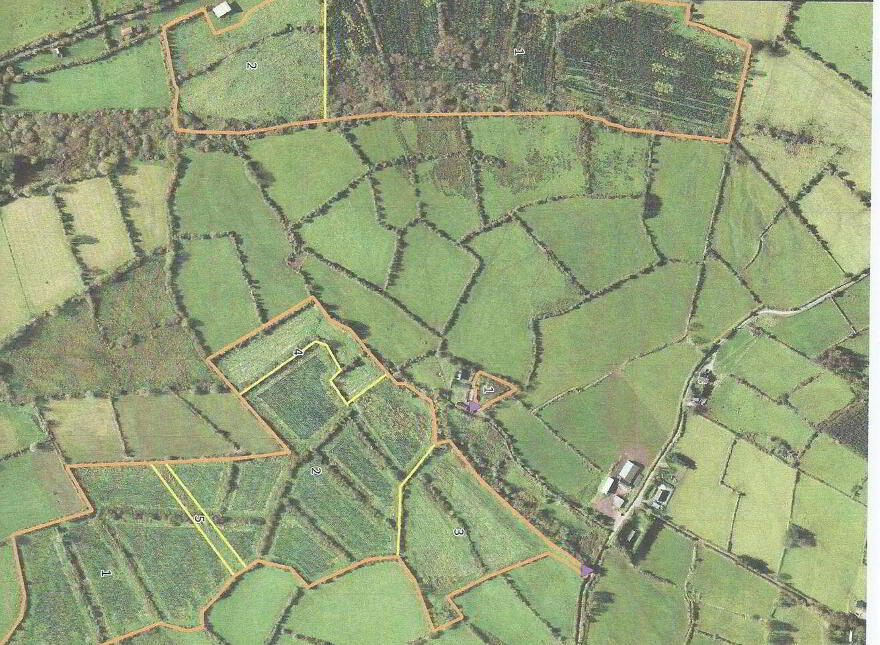 High Nature Value Site, C.93 Acres, Gortacurrig, Kildorrery Near, Fermoy