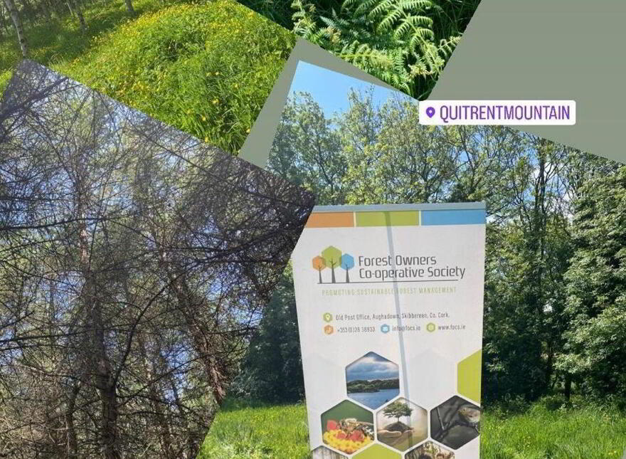 High Nature Value Site, C.93 Acres, Gortacurrig, Kildorrery Near, Fermoy