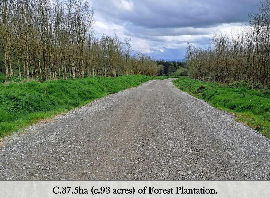 High Nature Value Site, C.93 Acres, Gortacurrig, Kildorrery Near, Fermoy