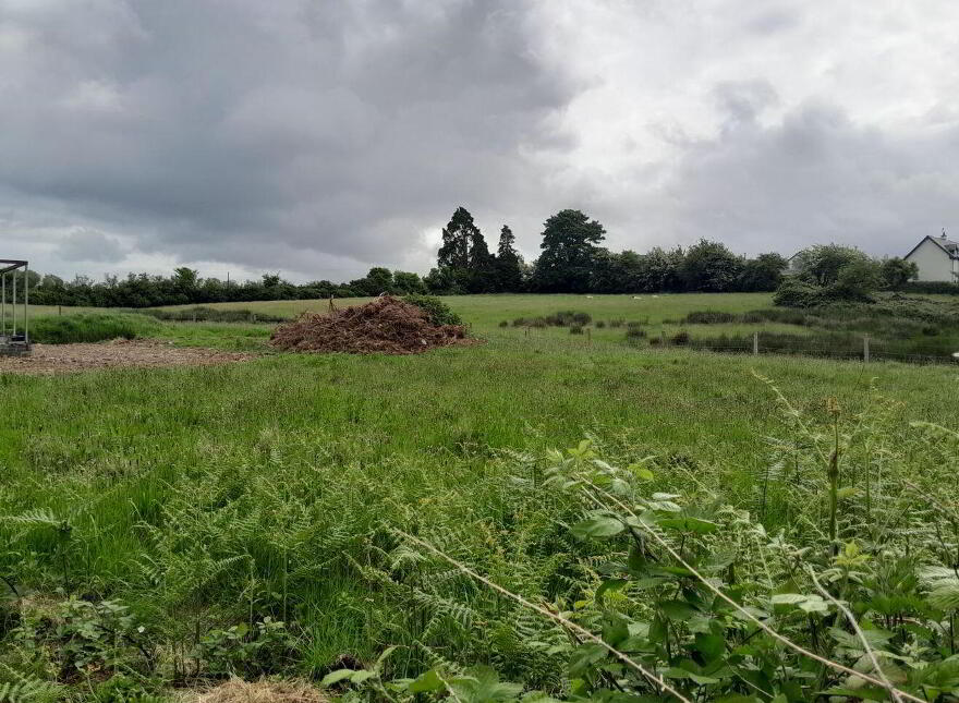 Ballynoe, Conna, Fermoy