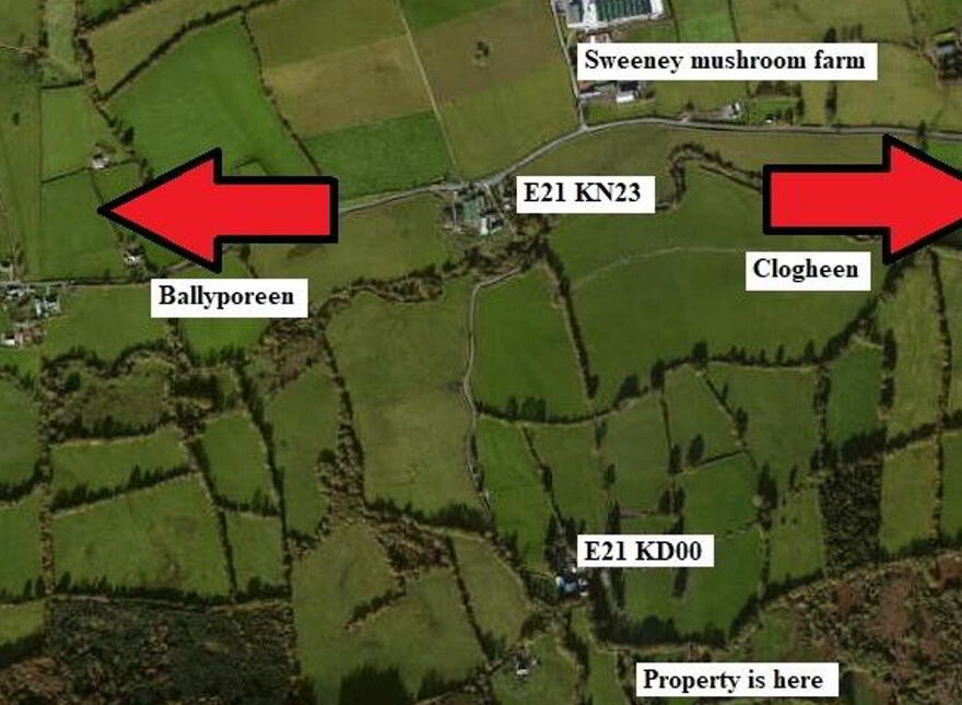 C.53 Acres Forrest, Rearoe, Clogheen Near, Mitchelstown