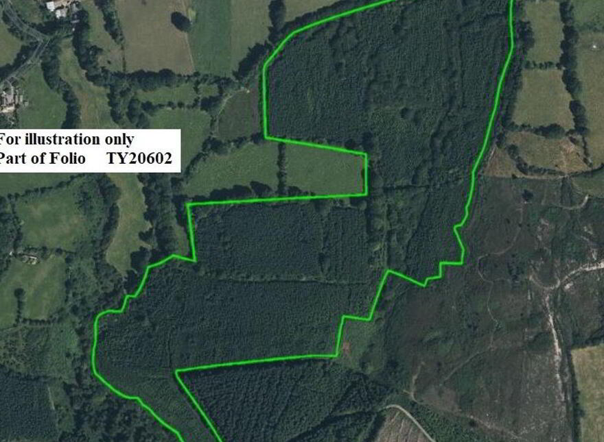 C.53 Acres Forrest, Rearoe, Clogheen Near, Mitchelstown