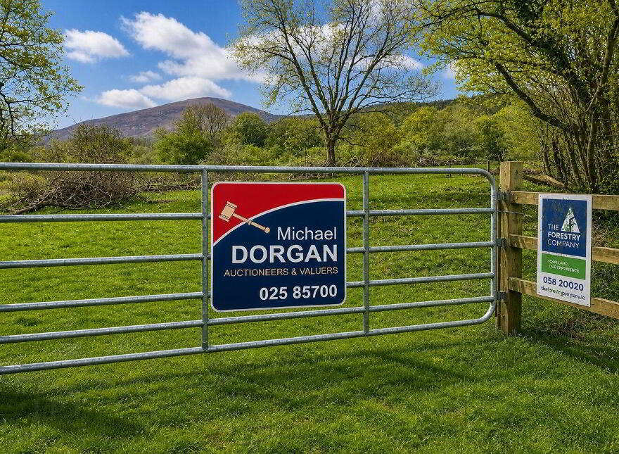 C.53 Acres Forrest, Rearoe, Clogheen Near, Mitchelstown