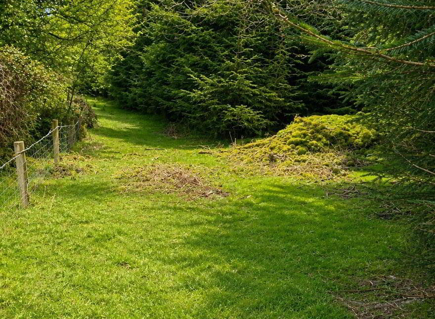 C.53 Acres Forrest, Rearoe, Clogheen Near, Mitchelstown