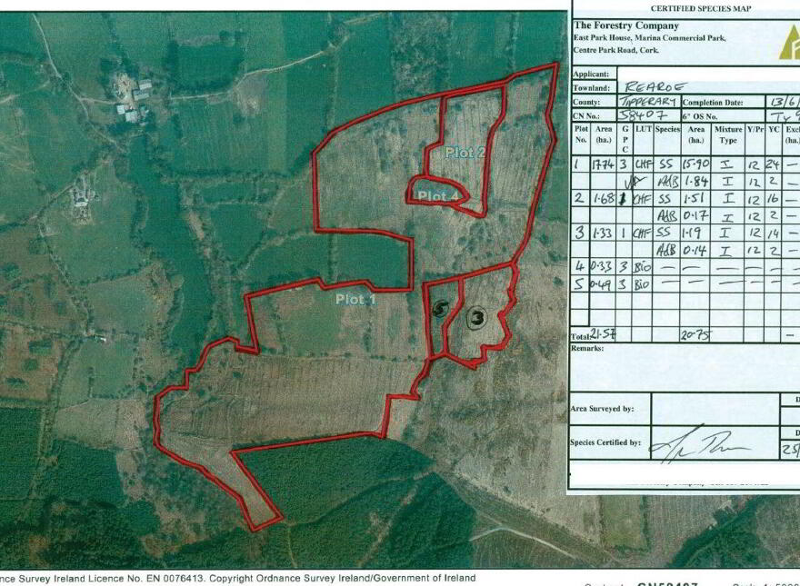 C.53 Acres Forrest, Rearoe, Clogheen Near, Mitchelstown