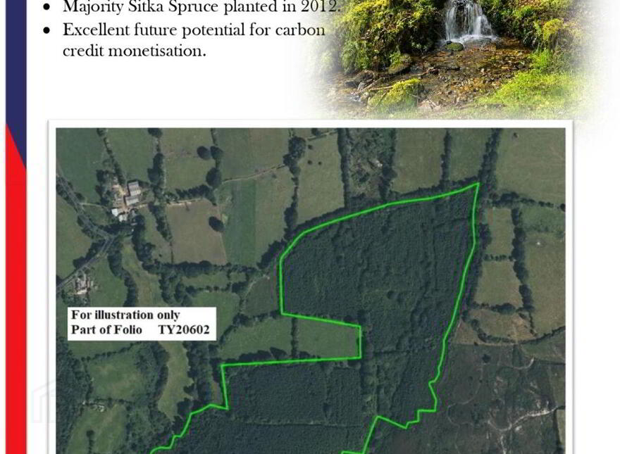 C.53 Acres Forrest, Rearoe, Clogheen Near, Mitchelstown