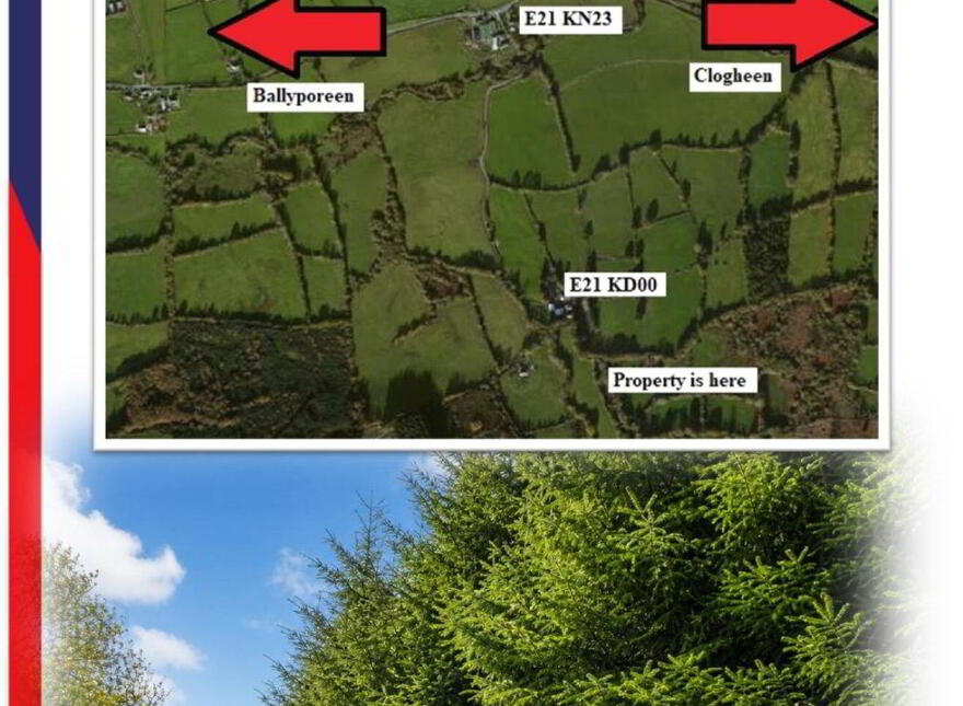 C.53 Acres Forrest, Rearoe, Clogheen Near, Mitchelstown