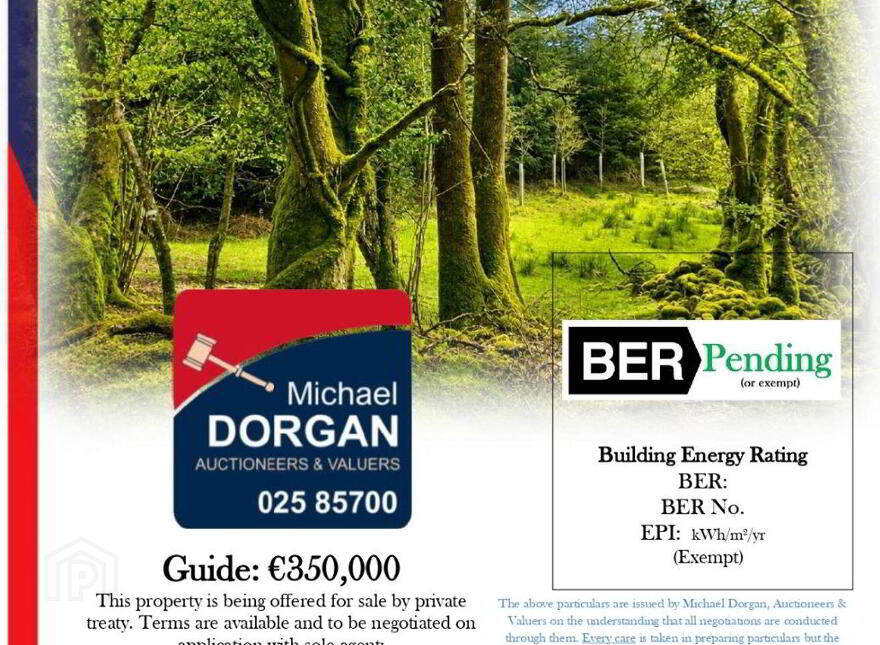 C.53 Acres Forrest, Rearoe, Clogheen Near, Mitchelstown