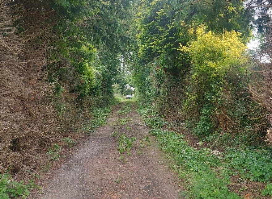 Ballynamona, Hospital, V35VN82