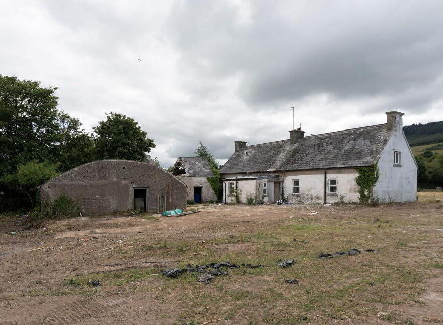 Ballinvreena, Kilmallock, V35K256
