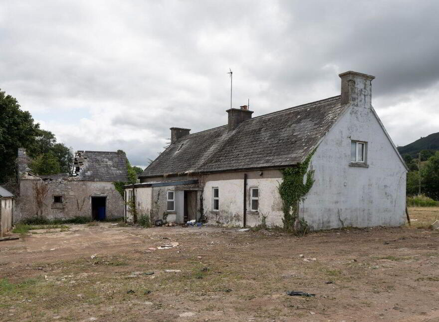 Ballinvreena, Kilmallock, V35K256