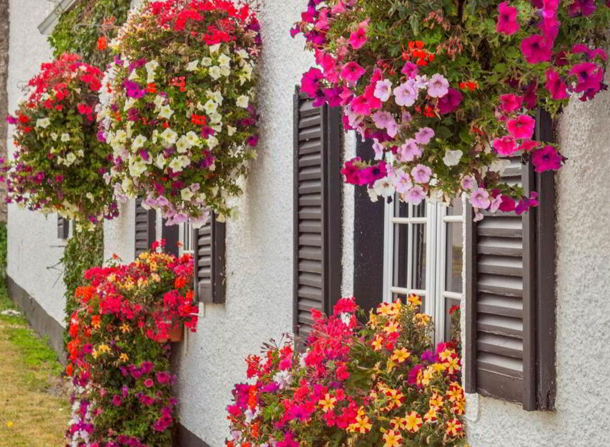 Robbswall Cottage, Coast Road, Malahide, K36YY90