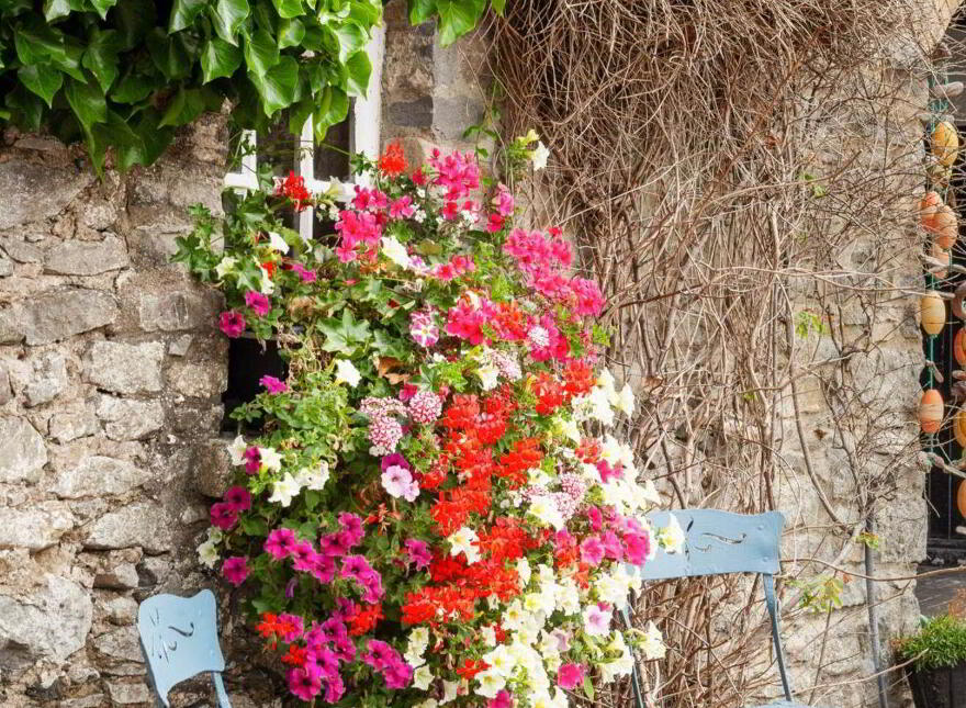 Robbswall Cottage, Coast Road, Malahide, K36YY90