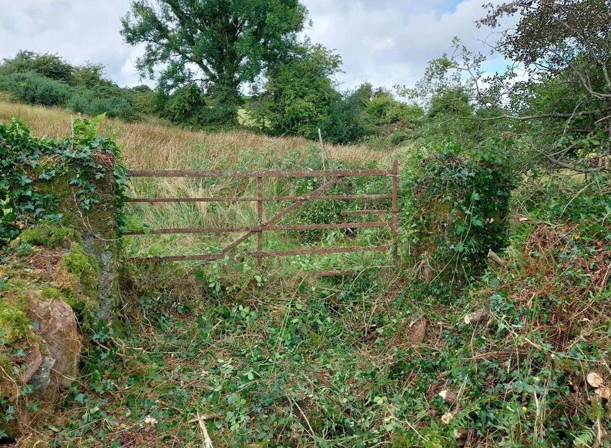Gortnapeasta, Clondrohid, Macroom