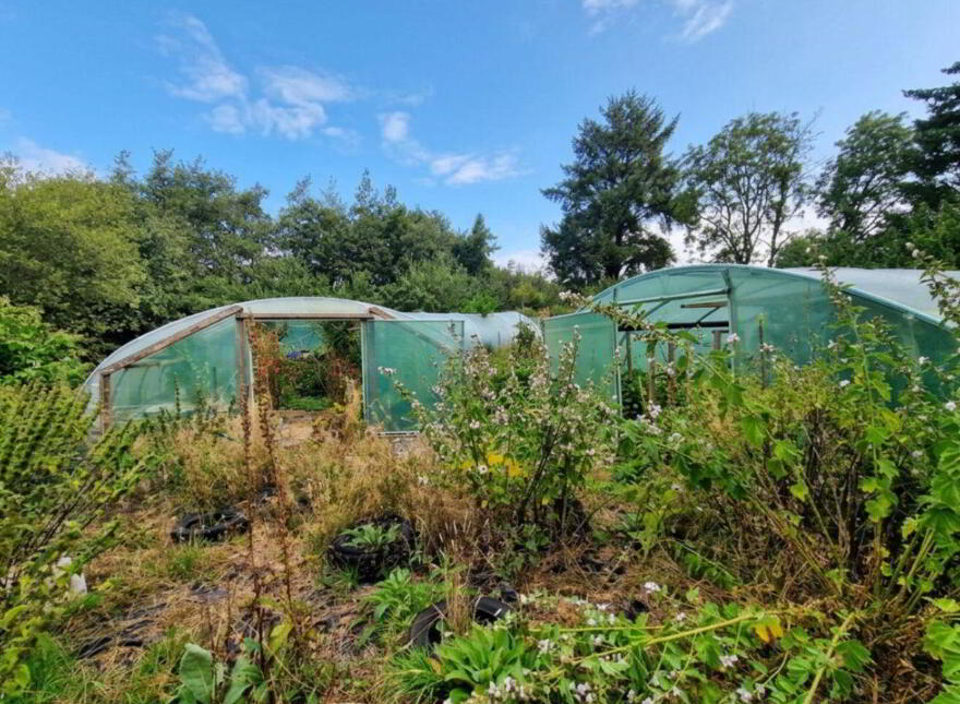 Milleens, Coolea, Ballyvourney, Macroom, P12XK60