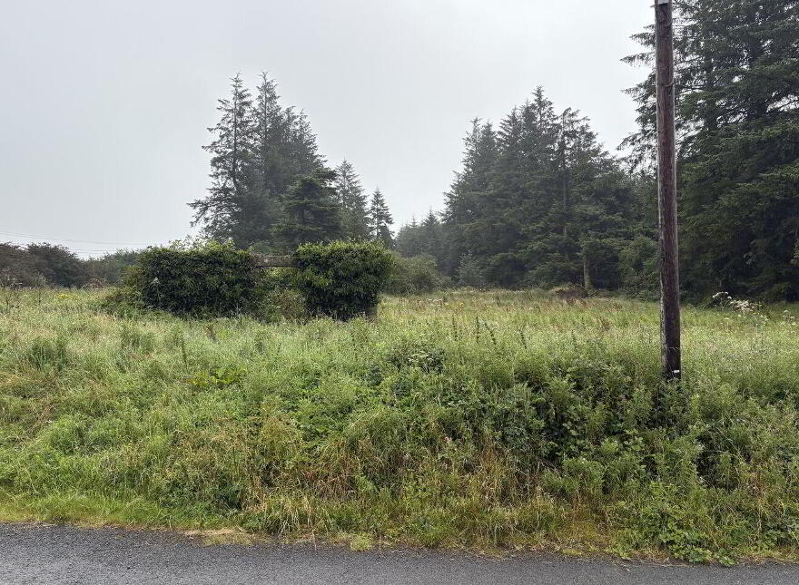 Glenpaudeen, Hollyford