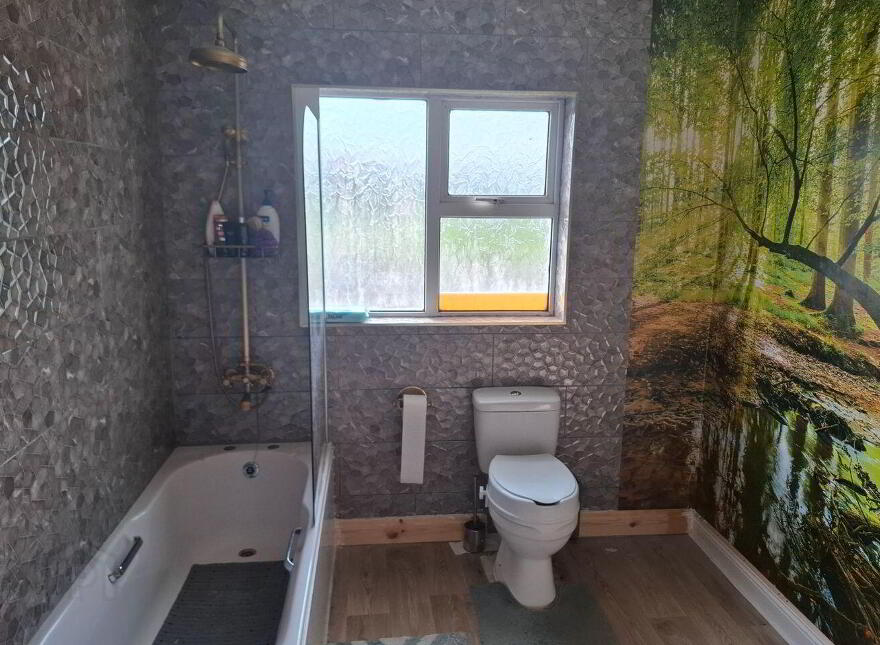 Rathsasseragh, Reddan's Walk, Reddan's Walk, E34HN23