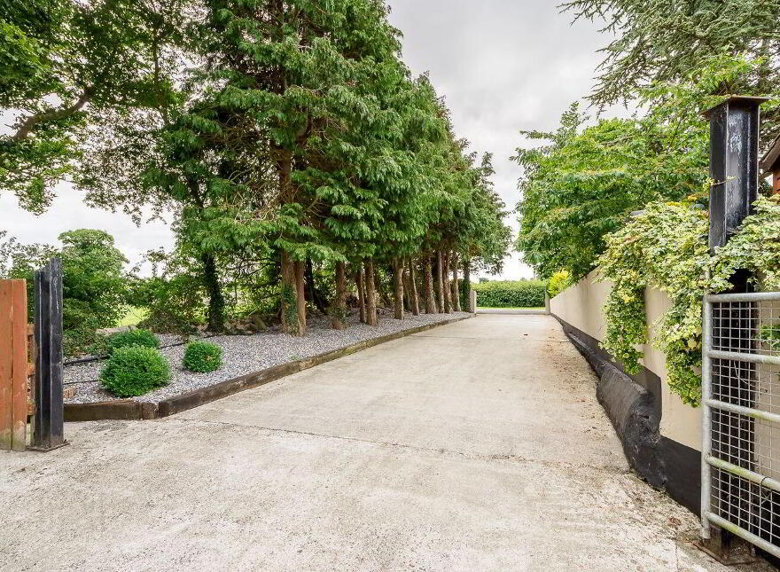 Castlelake, Cashel, Golden, E25TD70