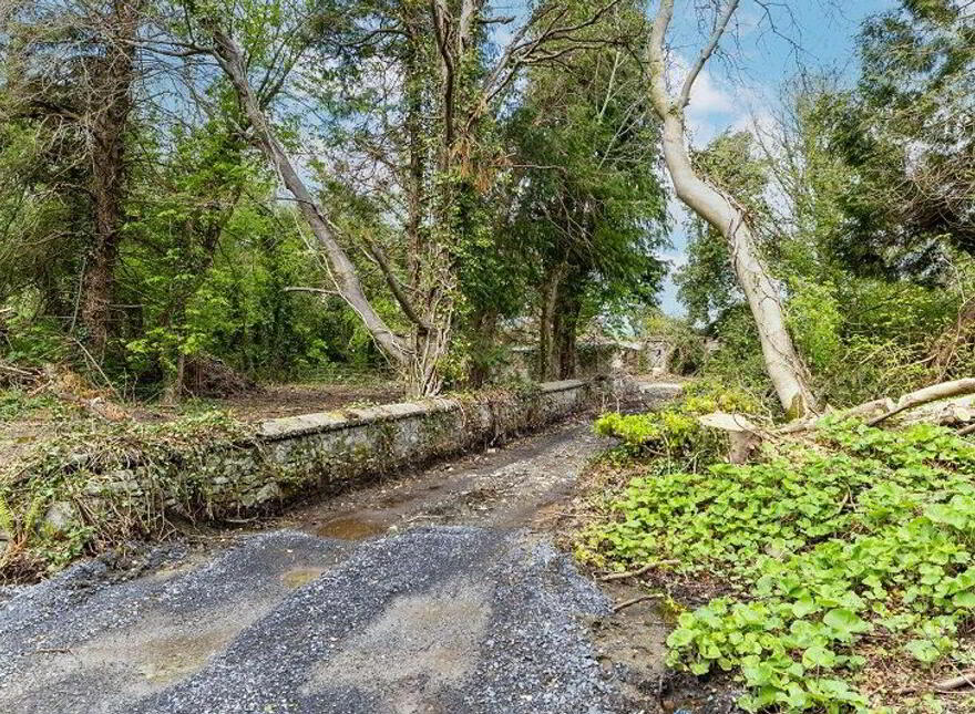Ardnacassagh, Dublin Road, Longford Town