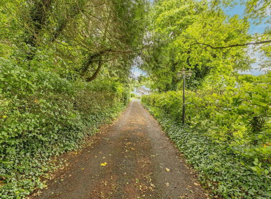 Moate Road, Ballymore, N91FR82