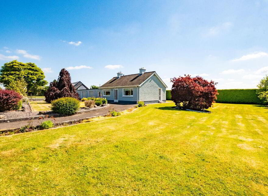 Walterstown, Dalystown, Rochfortbridge, N91N6Y2