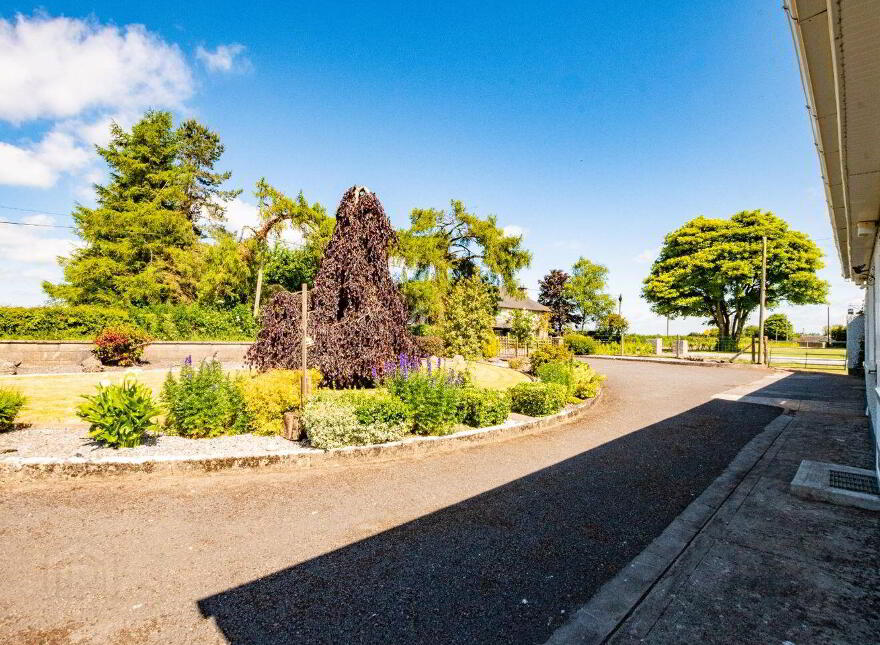 Walterstown, Dalystown, Rochfortbridge, N91N6Y2
