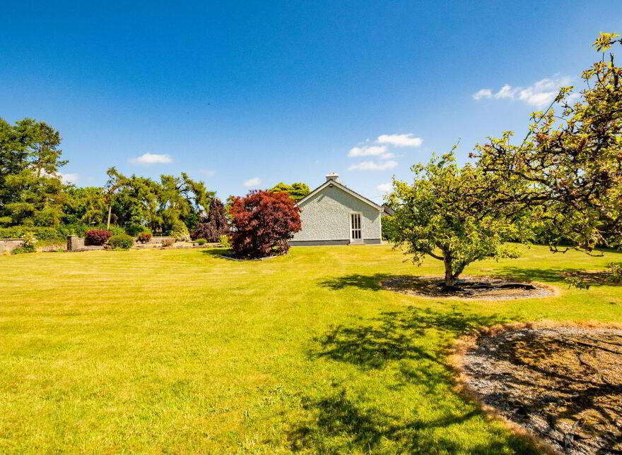Walterstown, Dalystown, Rochfortbridge, N91N6Y2