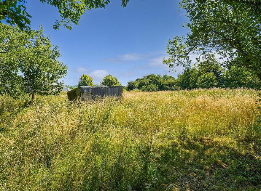 Boleybeg, Ballitore
