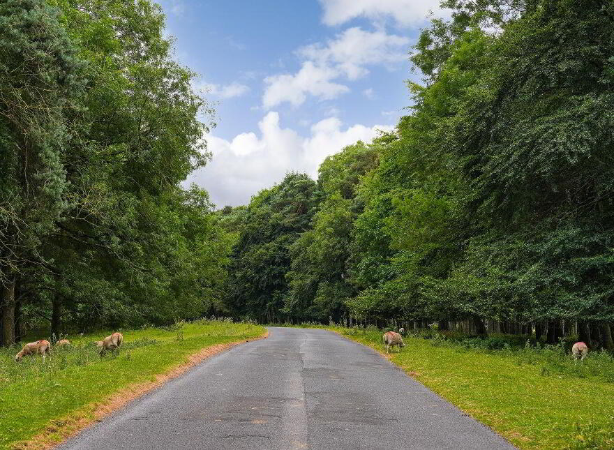 2 The Hall, Curragh Grange, Newbridge