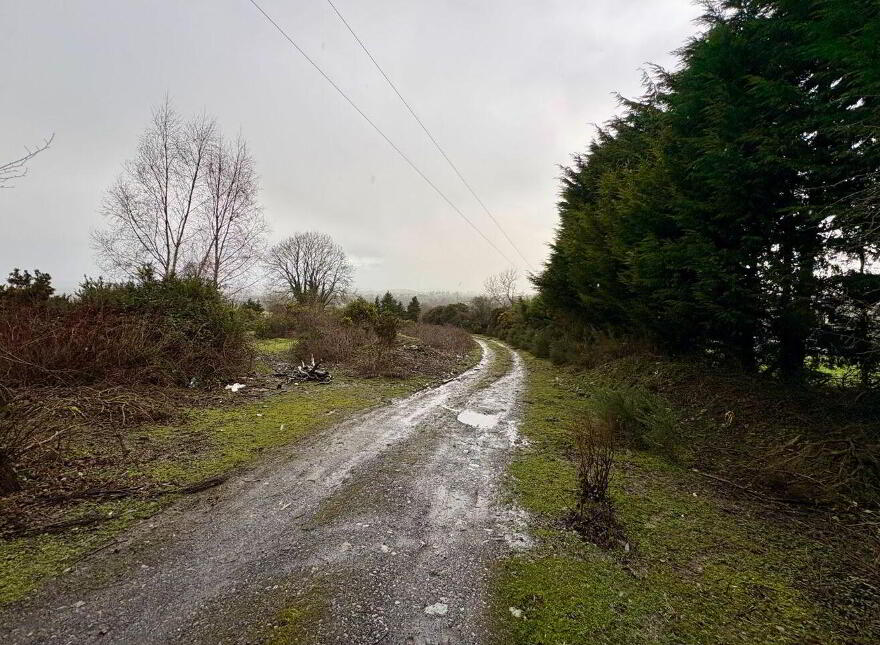 Site @, Blackdown, Kilteel