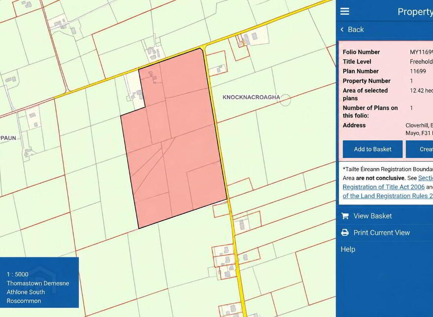 C.31 ACRE RESIDENTIAL FARM Cloverhill, Roundfort, Roundfort, F31KN81
