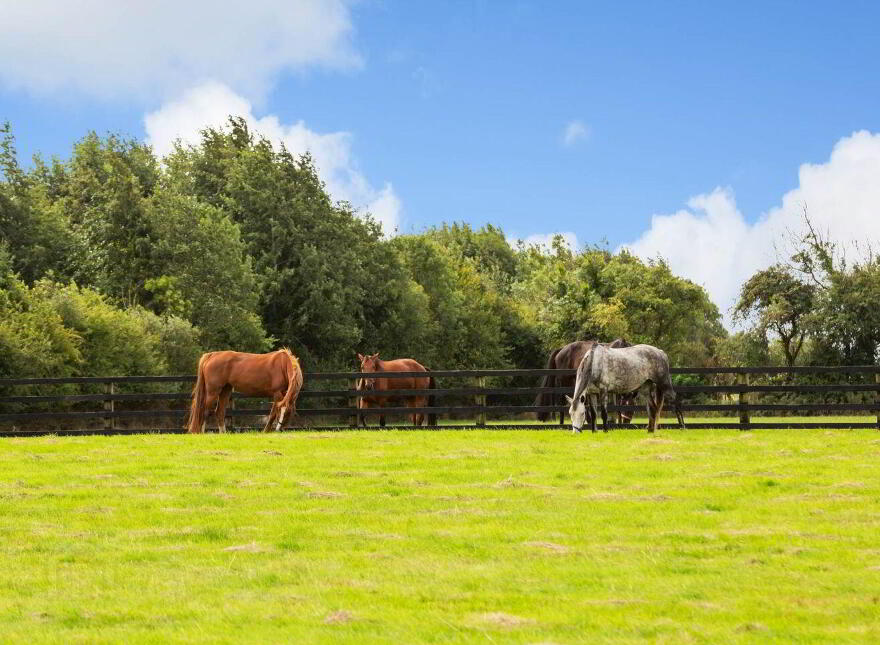 Moorefield House, Berrillstown, Dunshaughlin, C15C8N3