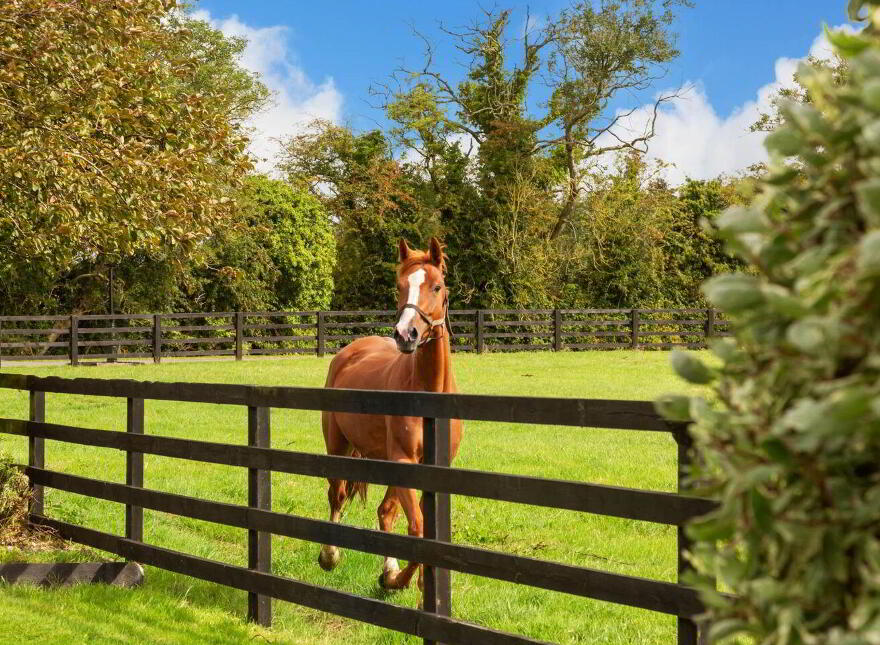 Moorefield House, Berrillstown, Dunshaughlin, C15C8N3