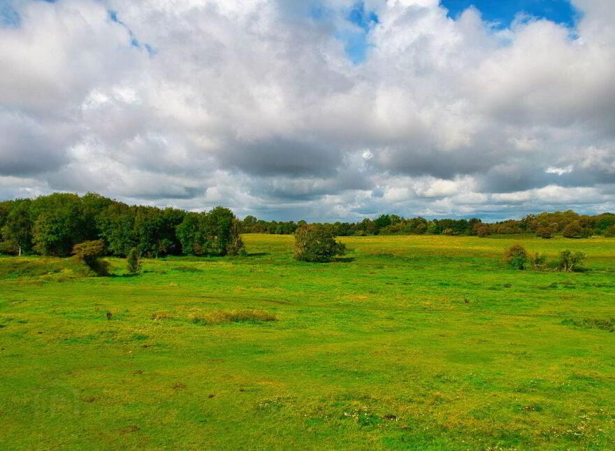 Residence On Approx, 64 Acres, Ticknevin, Carbury, W91CD83