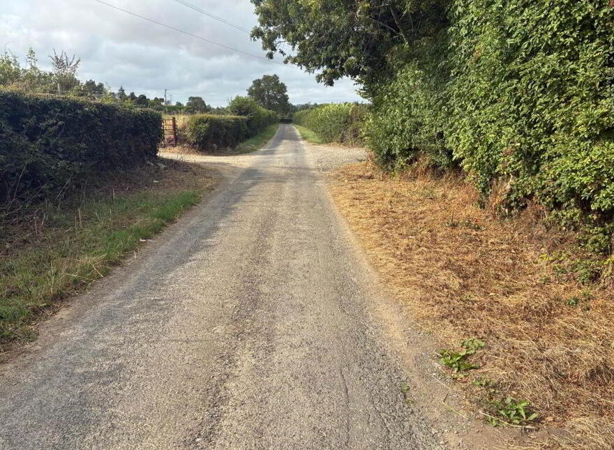 Derelict Residence On Approx. 3.1 Acres, Balrothery, K32FY86