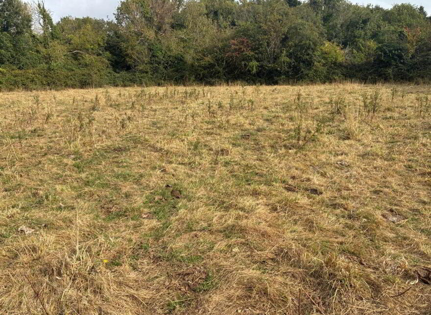 Derelict Residence On Approx. 3.1 Acres, Balrothery, K32FY86