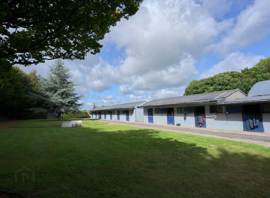 Mount Prospect Stud, Mount Prospect, Rathangan, R51X337