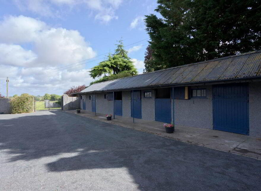 Mount Prospect Stud, Mount Prospect, Rathangan, R51X337