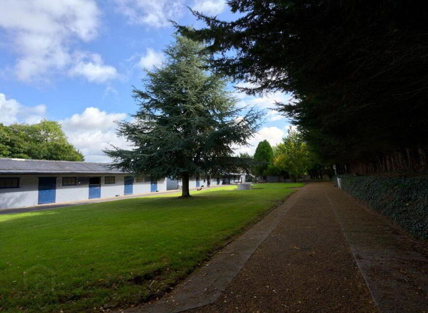 Mount Prospect Stud, Mount Prospect, Rathangan, R51X337