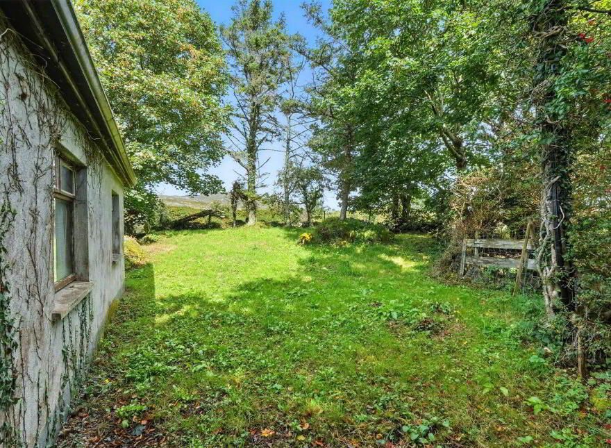 High Trees, Errisbeg, Roundstone, H91K7X9