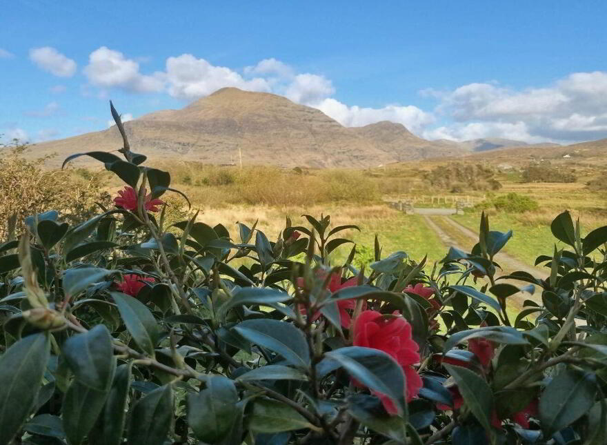 Tra Beag Cottage, Culfin, Renvyle, Galway City, H91TC5E