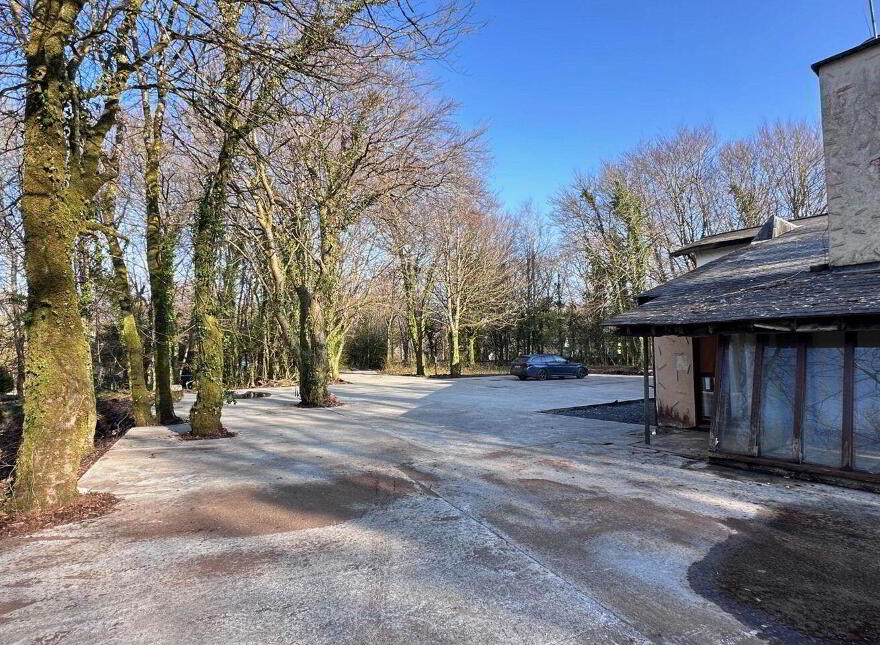 The Wood, Ballynahalla, Moycullen, H91HP71