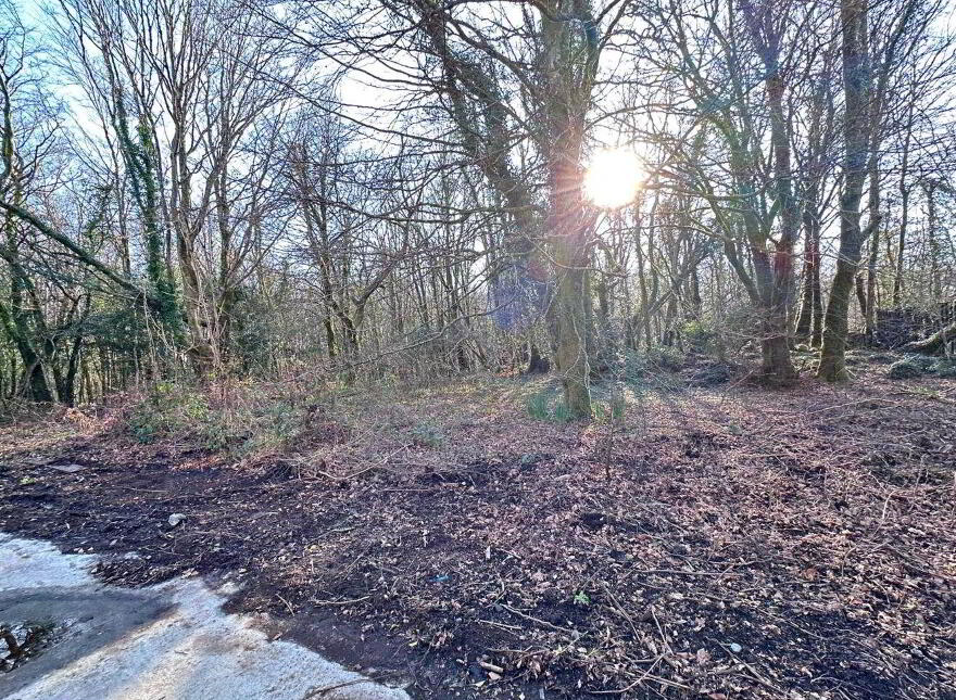 The Wood, Ballynahalla, Moycullen, H91HP71