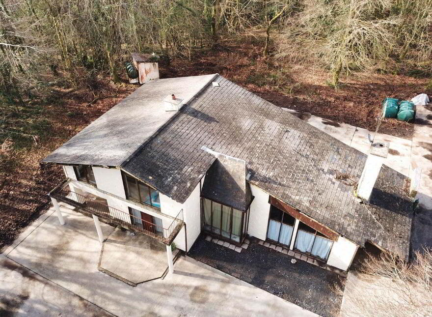 The Wood, Ballynahalla, Moycullen, H91HP71