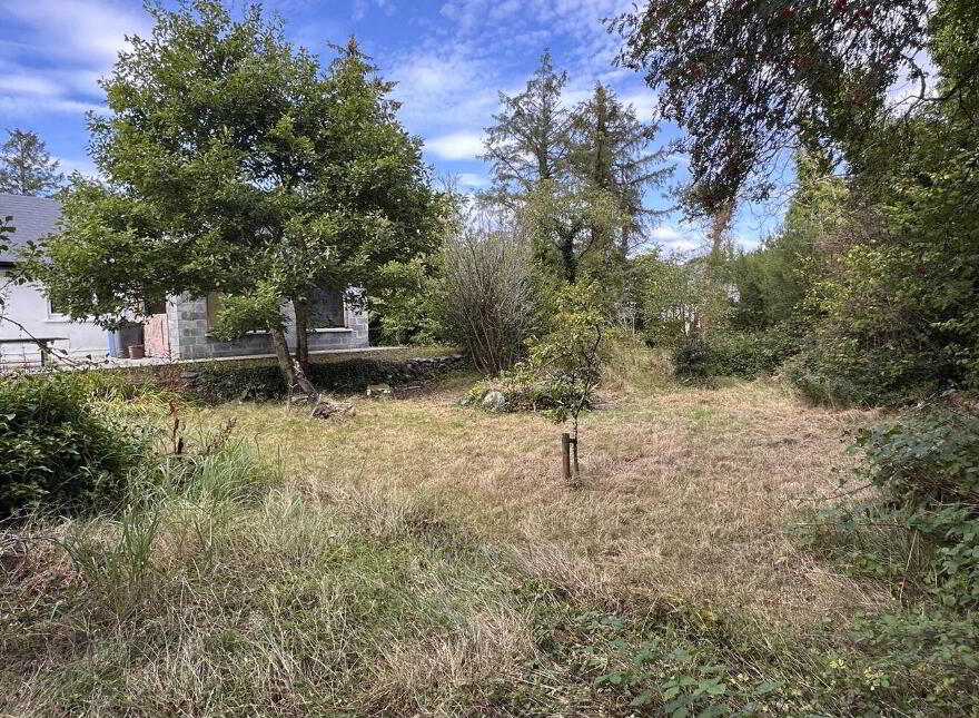 Portacarron, Oughterard, H91DY7Y