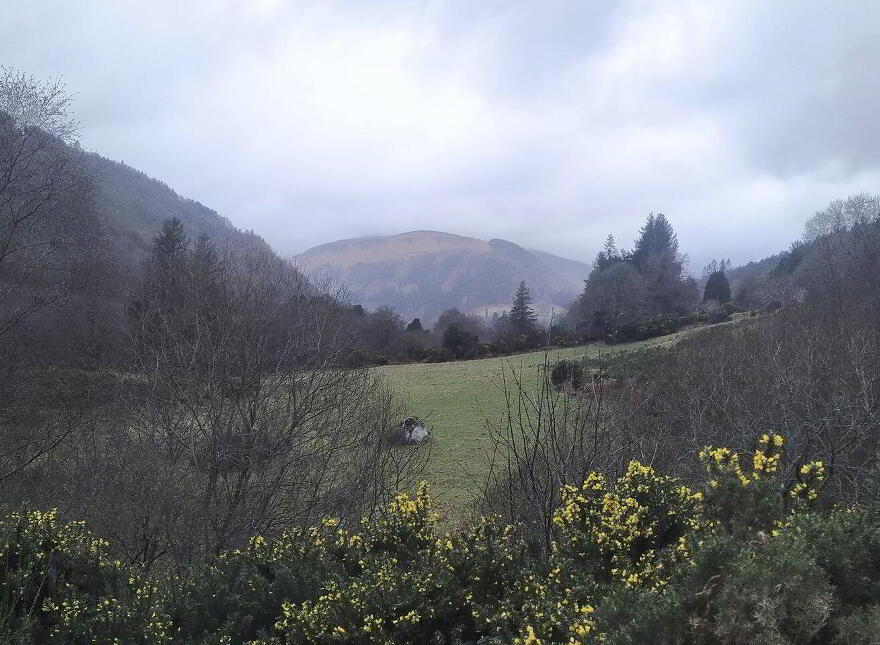 1 Acre Residential Site, Brockagh, Glendalough