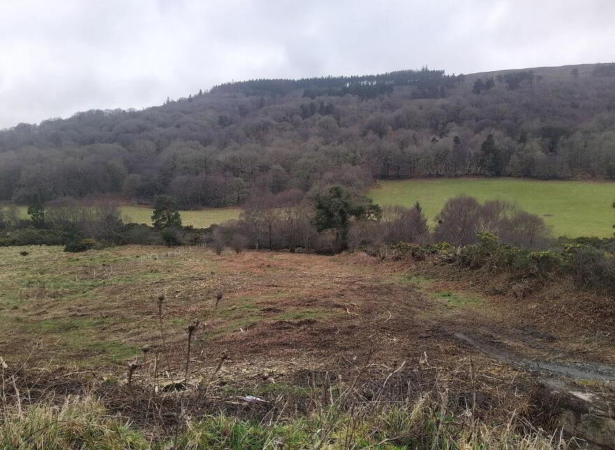 1 Acre Residential Site, Brockagh, Glendalough